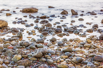 Obraz premium Small shell at rock beach