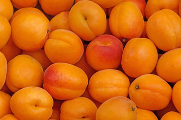 close up of apricots on market