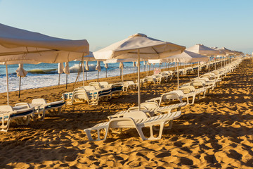 empty morning beach with sun beds and umbrellas from the sun