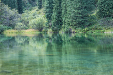 Fototapeta na wymiar reflection of conifers in the water, summer landscape, Kazakhstan, Lake Kolsai