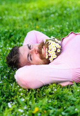 Man with beard on happy face enjoy nature. Unite with nature concept. Hipster with bouquet of daisies in beard relaxing. Bearded man with daisy flowers in beard lay on meadow, grass background.