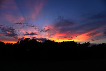 Fototapeta premium Sunset over Tree Line with Gorgeous Colors!