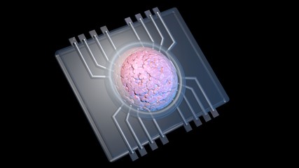 Physiomimetic technology. Organs on a chip. 3d rendering 