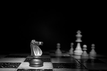 Scacchi fotografati su una scacchiera