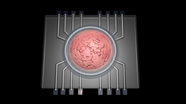 Physiomimetic technology. Organs on a chip. 3d rendering