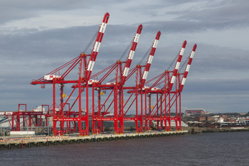 Container Terminal Cranes