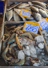 Local Fresh Fresh shrimp and fish at the Market in Krabi Town, Thailand