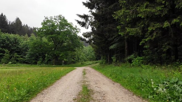Kamerafahrt entlang eines Waldweges - Luftaufnahme
