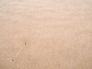 Fototapeta na wymiar close up sand ground floor with little crab 's hole at the sea beach