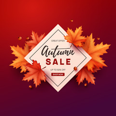 Autumn banner with colorful leaves. Vector illustration.