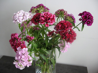 beautiful carnation flowers in a vase on a table . Bouquet of violet, purple and pink multicolor flower. Decoration of home. Wallpaper and background. Vertical photo