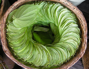Betel Leaves arranged in basket