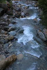 Torrent du Bon-Nant. Les Contamines-Montjoie. / Bon-Nant stream. Contamines-Montjoie.