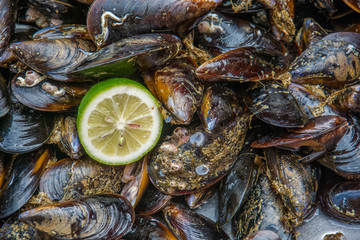 Fresh uncooked mussels in the market and half of lime among them
