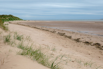 Grass through the sand dunes leading to the beach
