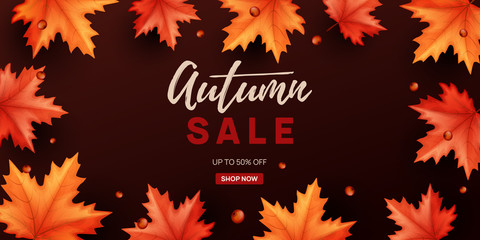 Autumn sale background with colorful leaves. Vector illustration.