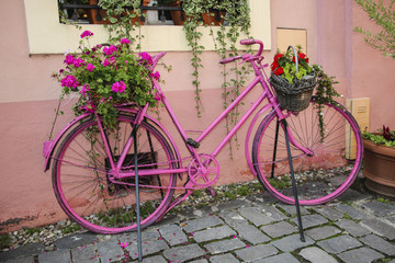 Fototapeta na wymiar Pink bicycle decorated with baskets of geranium flowers near the wall