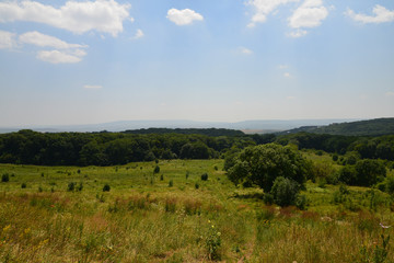 Fototapeta premium Green landscape 2