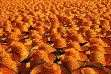 Fototapeta na wymiar orange hats drying on a field in Chiang Mai, Thailand
