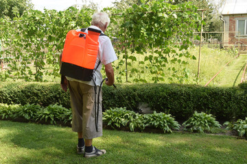 Man spraying plants against pests