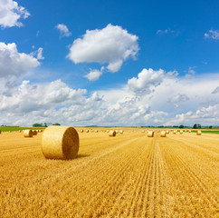 Yellow golden straw bales of hay in the stubble field, agricultural field under a blue sky with clouds