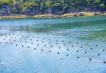 九十九島の海で見られる真珠養殖のいかだ（長崎県佐世保市）