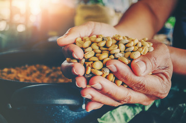 Hands holding scoop of coffee beans Autumn harvest and healthy organic food concept Toned picture Farm Agricultural products