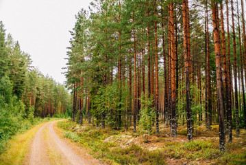 Obraz premium Trip to Sweden - Urlaub in Schweden