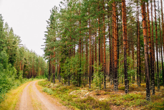 Trip to Sweden - Urlaub in Schweden