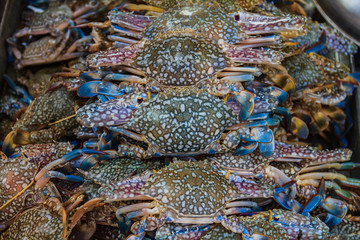 Fresh crab at the street market in Thailand