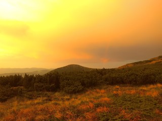 Ukrainian Carpathian mountain landscapes