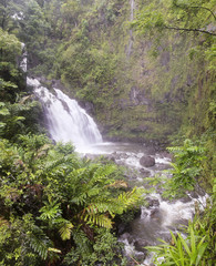Naklejka na ściany i meble A View of Upper Waikani Falls on the Road to Hana, Maui, Hawaii