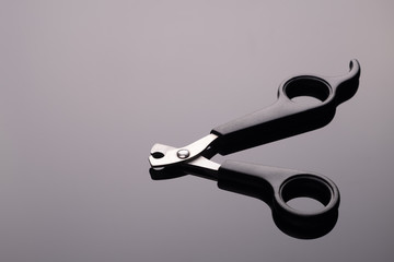 Scissors, cutters for cutting claws of animals, cats. Care for cats at home. Pet store