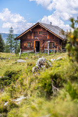 Almhütte in den Bergen: Bäume, grüne Wiese und blauer Himmel