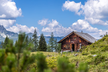 Almhütte in den Bergen: Bäume, grüne Wiese und blauer Himmel