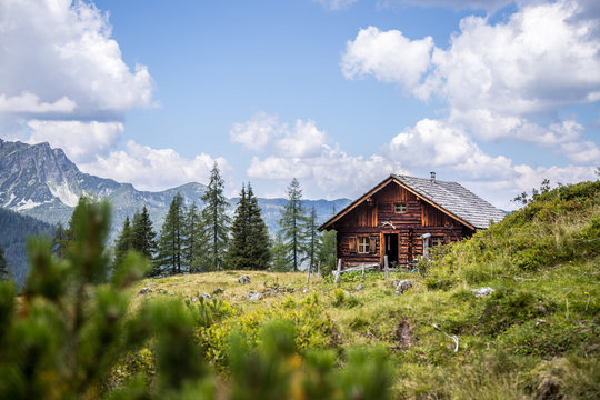 Fototapeta Almhütte in den Bergen: Bäume, grüne Wiese und blauer Himmel