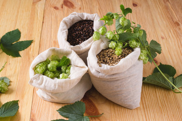 Cones of hops and pale caramel, chocolate malt in bags on  wooden background. Ingredient in craft beer brewing from grain barley malt. Ale or lager from pale or dark pilsner malt.