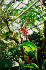 Streifzug durch den Botanischen Garten der Uni Greifswald