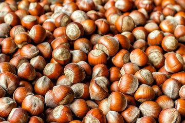 Nut background of hazelnut fruits. Food background. Top view of hazelnut nuts.