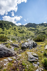 Almlandschaft: Steinbrocken, Wiese, Bäume und blauer Himmel