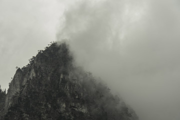 Mist in the mountains