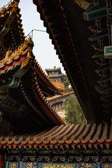 Fototapeta na wymiar Tempeldächer in Peking, China
