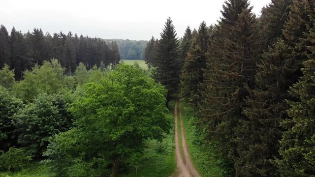 An der Weggabelung - Kameraflug