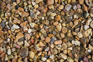 Multi-Colored Pebbles and Rocks. Close-up