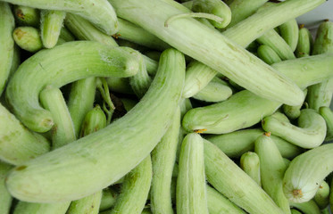 Organics zucchini sold on farmers market