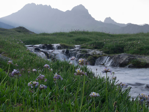 mountain stream in the upper reaches of the river Kafar.