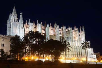 Fototapeta na wymiar Kathedrale der Heiligen Maria in Palma bei Nacht