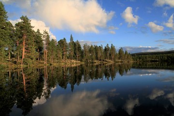 Fototapeta na wymiar picturesque lake in Sweden, Fulufjället National Park