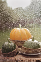 One orange pumpkin and two green pumpkin on the wooden table decorated burlap and rope. Under rain. Outdoors.