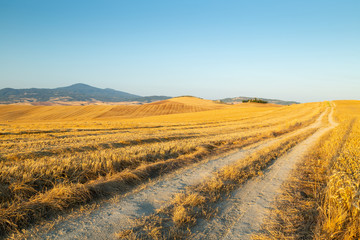A desolate country road leading to a farm house in Tuscany, Italy.